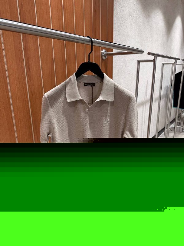 TG loro piana46