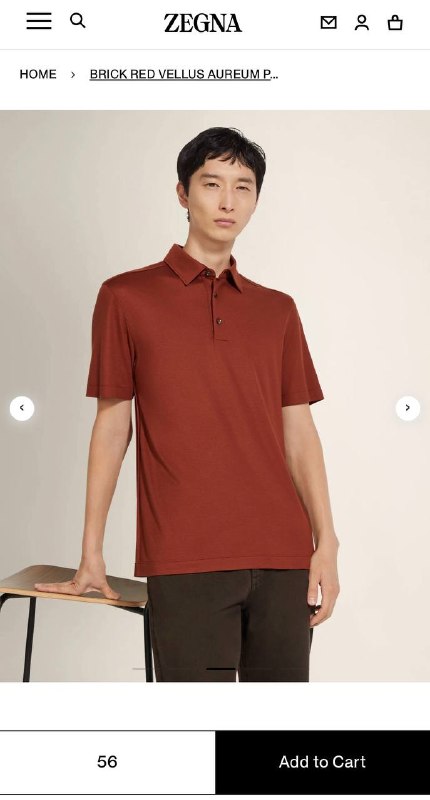 TG Polo33