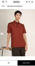 TG Polo33