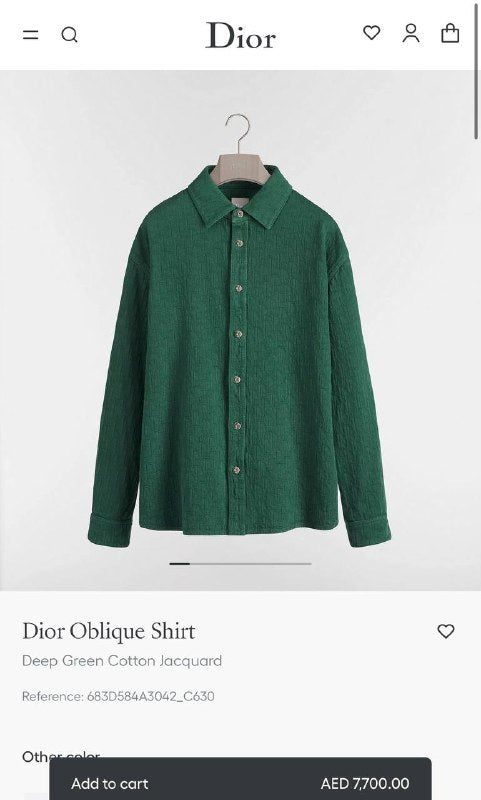 TG Dior2