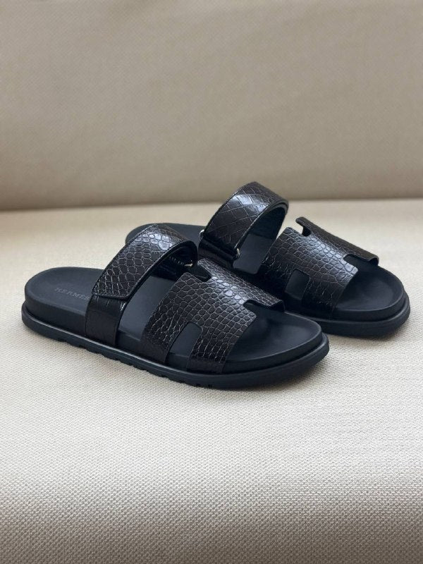TG Hermes23