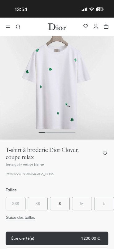 TG Dior27