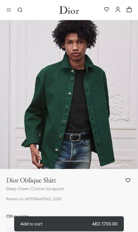 TG Dior2