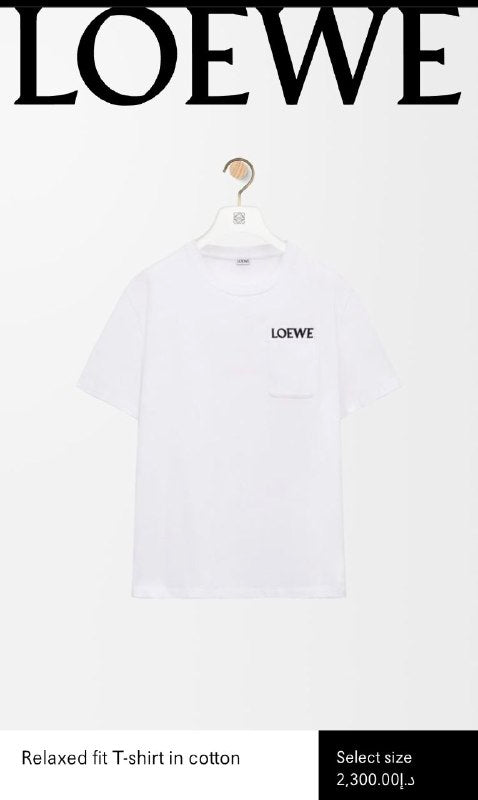 TG Loewe2