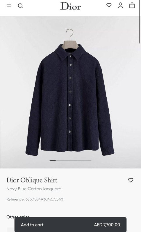 TG Dior1