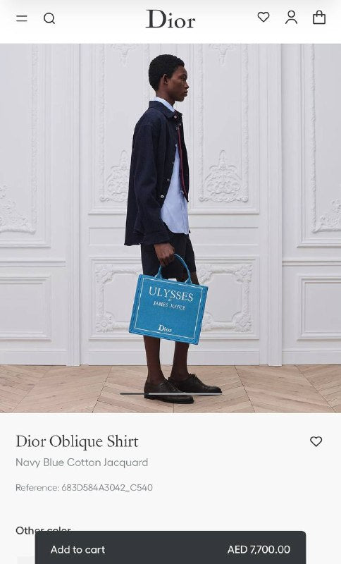 TG Dior1