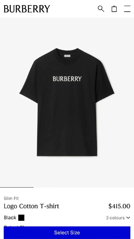TG Burberry13