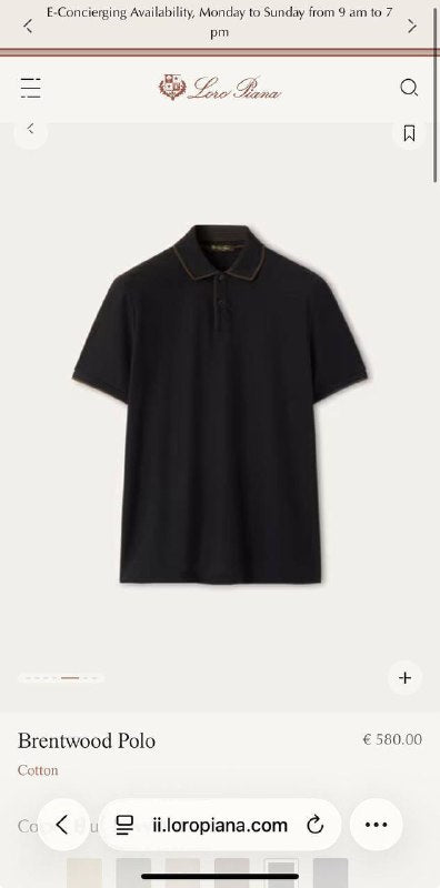 TG loro piana58