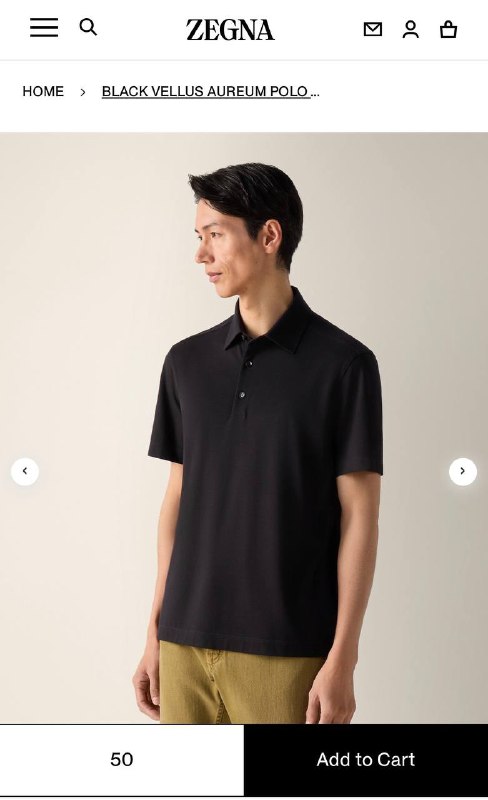 TG Polo33