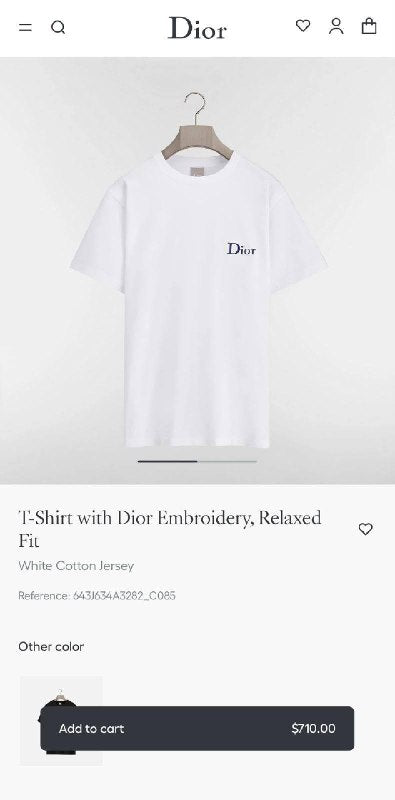 TG Dior3