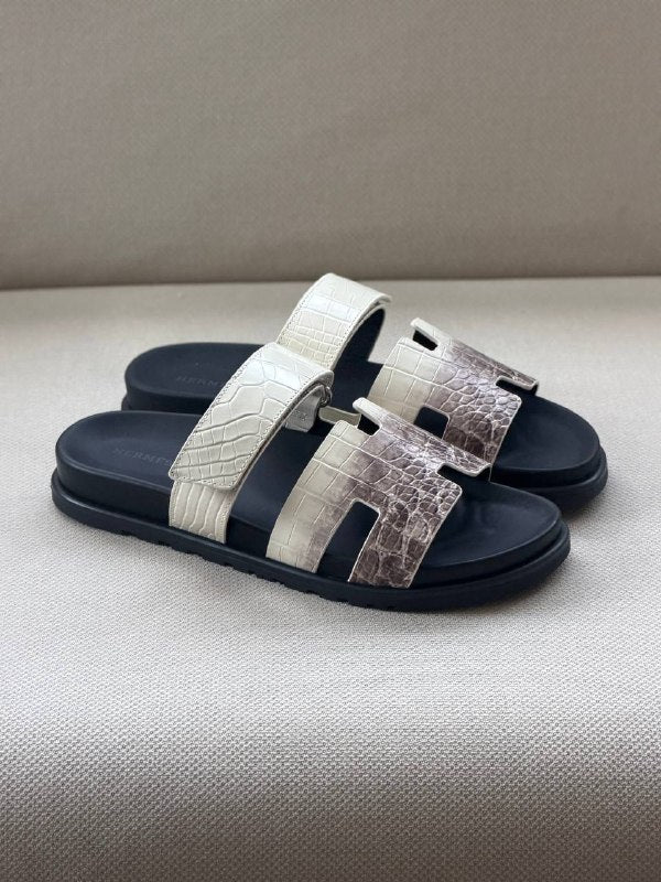 TG Hermes23