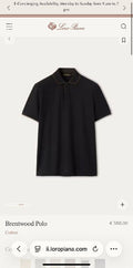 TG Polo24