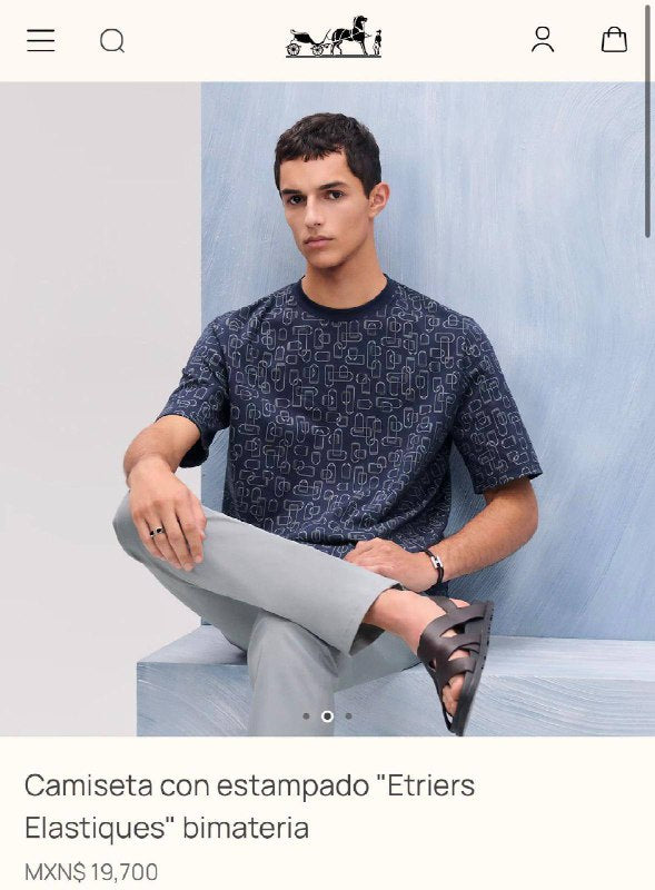 TG Hermes21