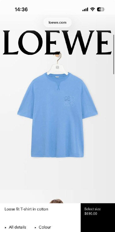 TG Loewe3