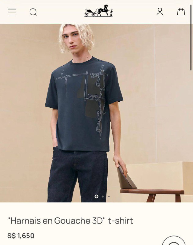 TG Hermes20