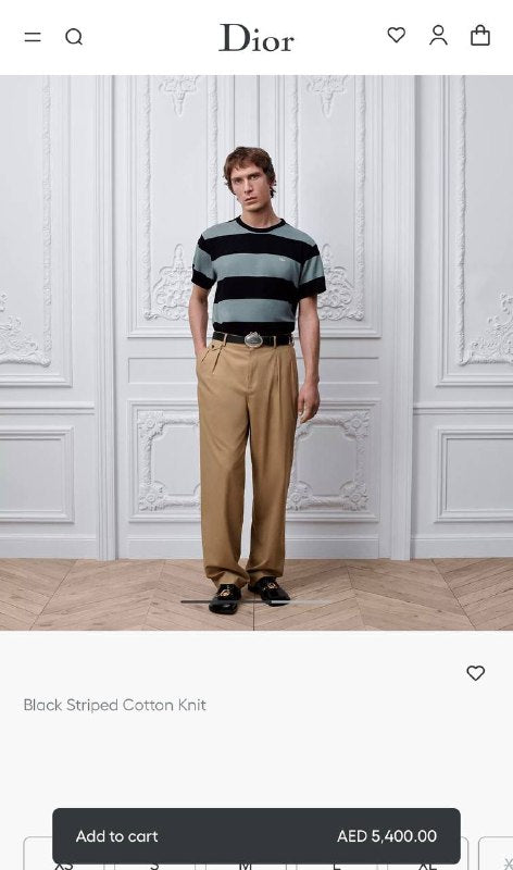 TG Dior5
